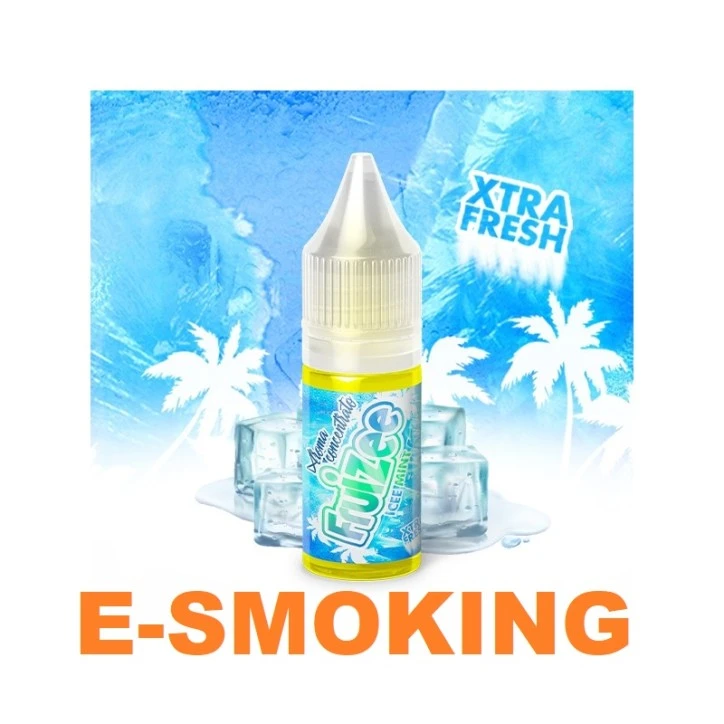ICEE MINT AROMA CONCENTRATO 10ML FRUIZEE