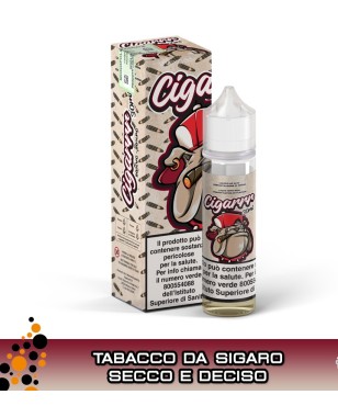 CIGARRR MIX&VAPE 30 ML VAPORART
