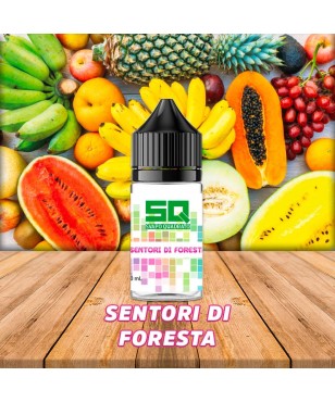 SENTORI DI FORESTA LIQUIDO FRUTTATO 10ML PRONTO SVAPO QUADRATO