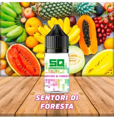 SENTORI DI FORESTA LIQUIDO FRUTTATO 10ML PRONTO SVAPO QUADRATO SVAPOQUADRATO 1 - E-Smoking di Fiacco Marco 