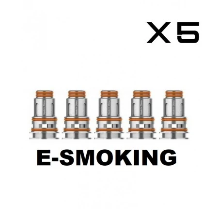 COIL RICAMBIO SERIE P GEEKVAPE 5 PEZZI