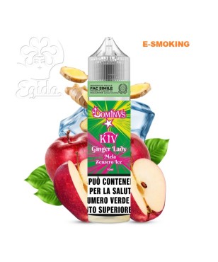 GINGER AROMA 10ML SHOT KIW  DOMINUS IRON VAPER