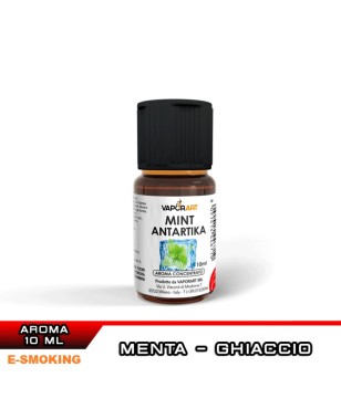 MINT ANTARTIKA AROMA 10 ML VAPORART