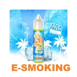 FRUIZEE Lemon Blackcurrant Aroma Shot 10 ml in 60 ml - Limone e Ribes Nero Ghiacciati