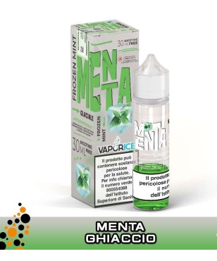 MENTA VAPORICE MIX&VAPE 30 ML VAPORART