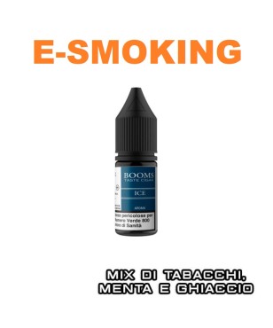BOOMS ICE AROMA CONCENTRATO 10 ML TNT VAPE