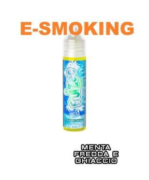 ICEE MINT  AROMA SHOT 10/60 ML  FRUIZEE