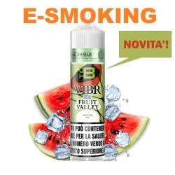 FRUIT VALLEY ICE AROMA SHOT 10/60 ML VIBR TO BE PHARMA