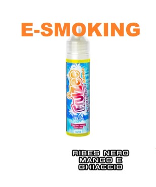 BLACKCURRANT MANGO  AROMA SHOT 10/60 ML  FRUIZEE