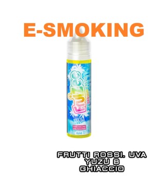 SPRING FRESH AROMA SHOT 10/60 ML  FRUIZEE