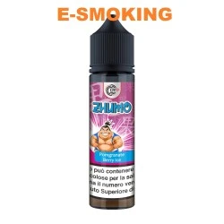 ZHUMO POMGRANATE BERRY ICE AROMA SHOT 20/60 ML DYPRINTECH