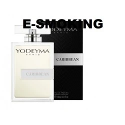 CARIBBEAN EAU DE PARFUM 100ML YODEYMA EQUIVALENTE