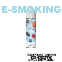FLAMINGO ICE POD AUTHENTIC AROMA 20 ML GHOST BUS CLUB FRUTTI DI BOSCO GIN SALE GINEPRO ICE