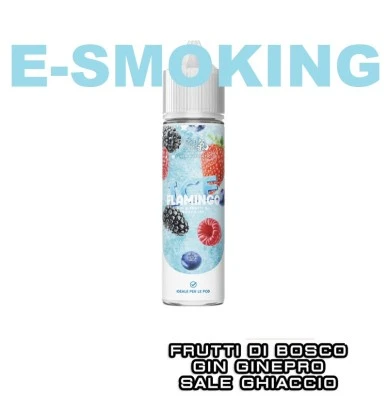 FLAMINGO ICE POD AUTHENTIC AROMA 20 ML GHOST BUS CLUB FRUTTI DI BOSCO GIN SALE GINEPRO ICE GHOST BUS 1 - E-Smoking di Fiacco Mar
