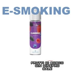 FLAMINGO POD AUTHENTIC AROMA 20 ML GHOST BUS CLUB FRUTTI DI BOSCO GIN SALE GINEPRO