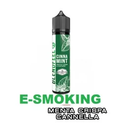 CINNA MINT PIANETA MENTA FLAVOURED AROMA SHOT 20 ML BLENDFEEL BLENDFEEL 1 - E-Smoking di Fiacco Marco 