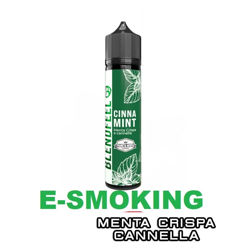 CINNA MINT PIANETA MENTA FLAVOURED AROMA SHOT 20 ML BLENDFEEL BLENDFEEL 1 - E-Smoking di Fiacco Marco 