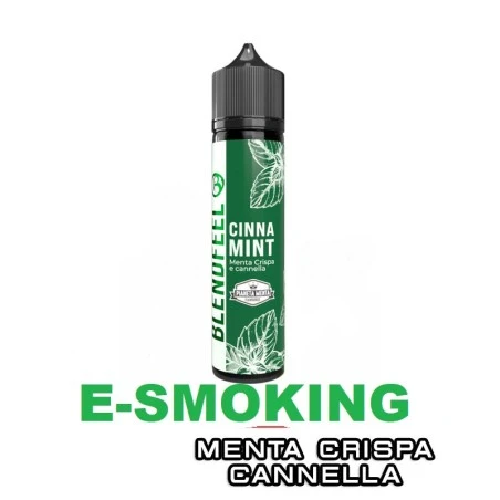CINNA MINT PIANETA MENTA FLAVOURED AROMA SHOT 20 ML BLENDFEEL BLENDFEEL 1 - E-Smoking di Fiacco Marco 