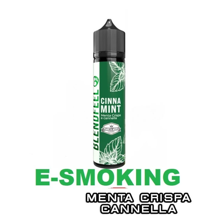 CINNA MINT PIANETA MENTA FLAVOURED AROMA SHOT 20 ML BLENDFEEL