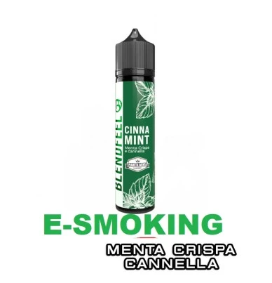 CINNA MINT PIANETA MENTA FLAVOURED AROMA SHOT 20 ML BLENDFEEL BLENDFEEL 1 - E-Smoking di Fiacco Marco 