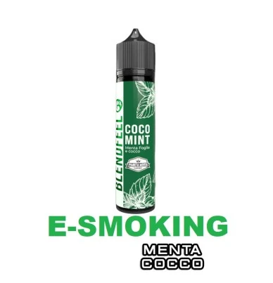 COCO MINT PIANETA MENTA FLAVOURED AROMA SHOT 20 ML BLENDFEEL BLENDFEEL 1 - E-Smoking di Fiacco Marco 
