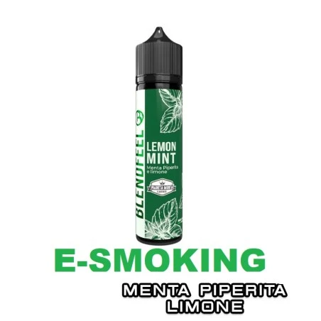 LEMON MINT PIANETA MENTA FLAVOURED AROMA SHOT 20 ML BLENDFEEL BLENDFEEL 1 - E-Smoking di Fiacco Marco 