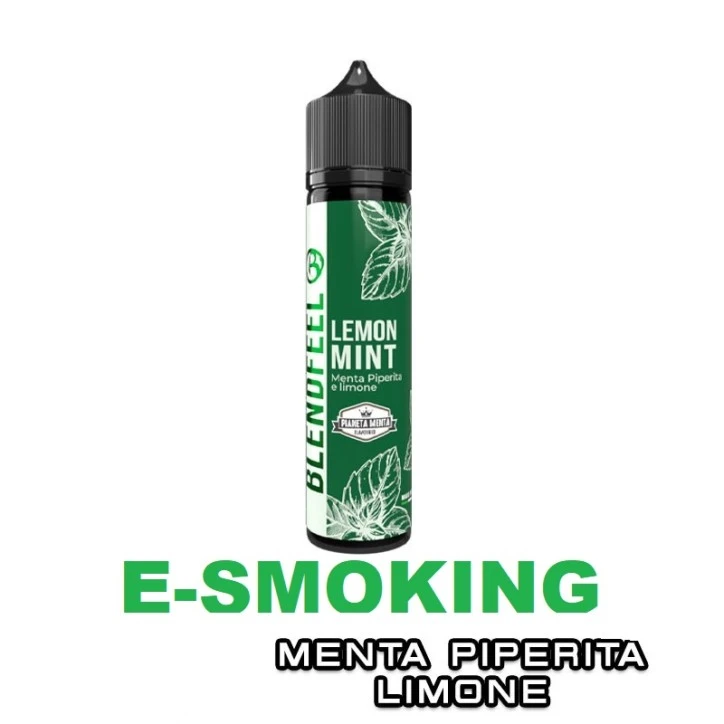 LEMON MINT PIANETA MENTA FLAVOURED AROMA SHOT 20 ML BLENDFEEL