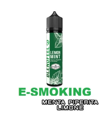 LEMON MINT PIANETA MENTA FLAVOURED AROMA SHOT 20 ML BLENDFEEL BLENDFEEL 1 - E-Smoking di Fiacco Marco 