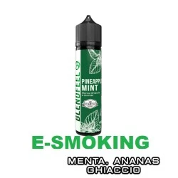 PINEAPPLE MINT PIANETA MENTA FLAVOURED AROMA SHOT 20 ML BLENDFEEL MENTA ANANAS ICE BLENDFEEL 1 - E-Smoking di Fiacco Marco 