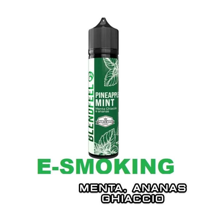 PINEAPPLE MINT PIANETA MENTA FLAVOURED AROMA SHOT 20 ML BLENDFEEL MENTA ANANAS ICE