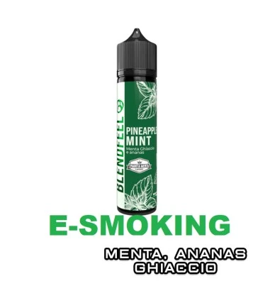PINEAPPLE MINT PIANETA MENTA FLAVOURED AROMA SHOT 20 ML BLENDFEEL MENTA ANANAS ICE BLENDFEEL 1 - E-Smoking di Fiacco Marco 