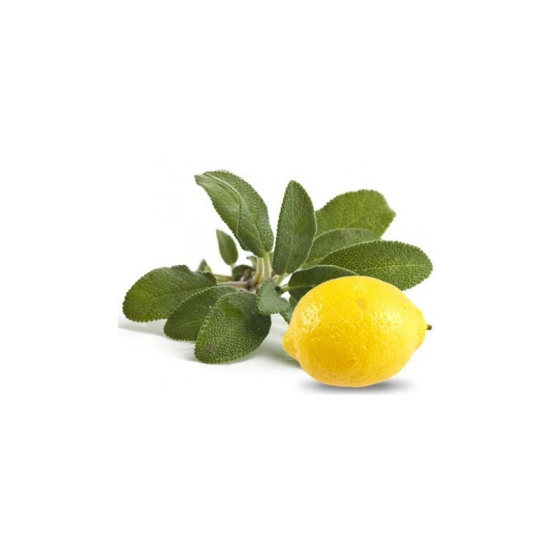 Aroma Lemonsalvia Infinity 10 ml