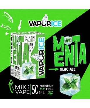 Vaporart Vaporice Menta Glaciale 50 ml Mix