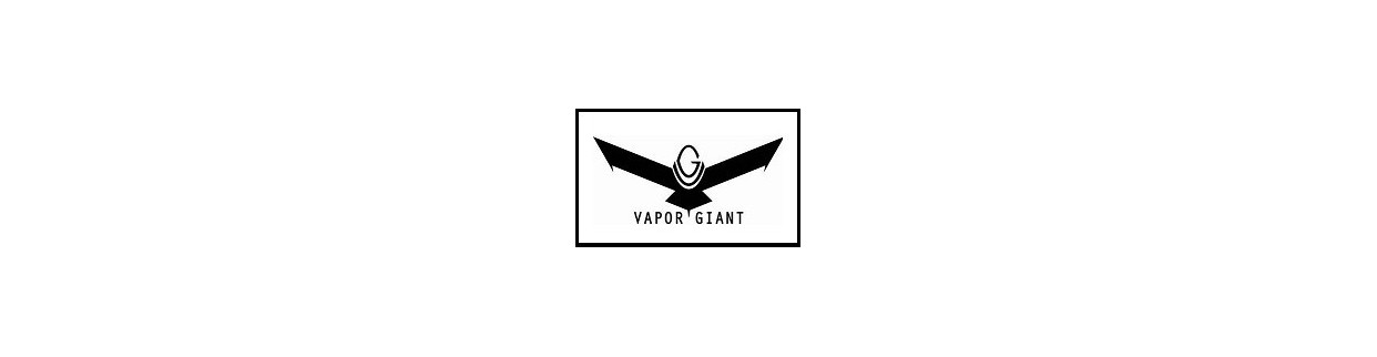 RESISTENZE VAPOR GIANT