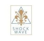 SHOCK WAVE MINI 10/20ML